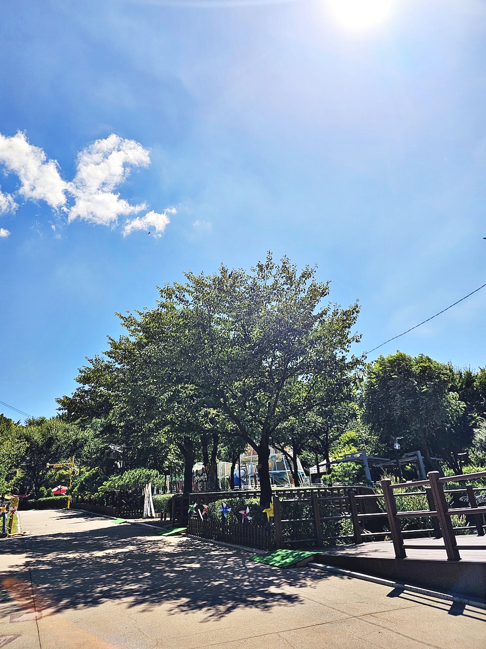 공원 산책로
